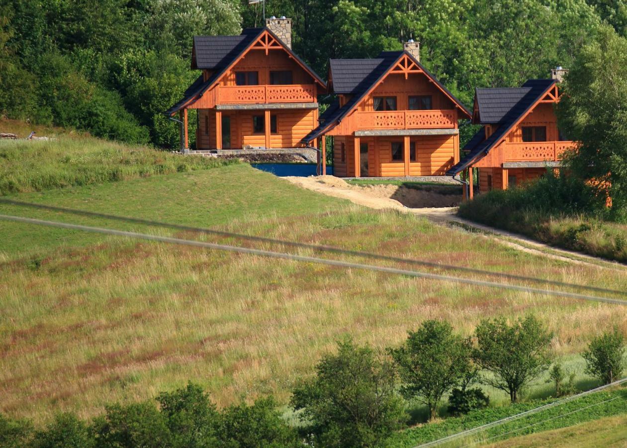 Ferienwohnung Osada Pieninska Krościenko Exterior foto